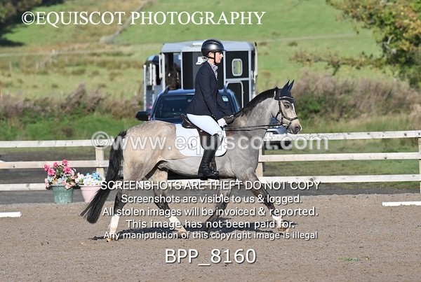 BPP_8160 - SHORT ARENA