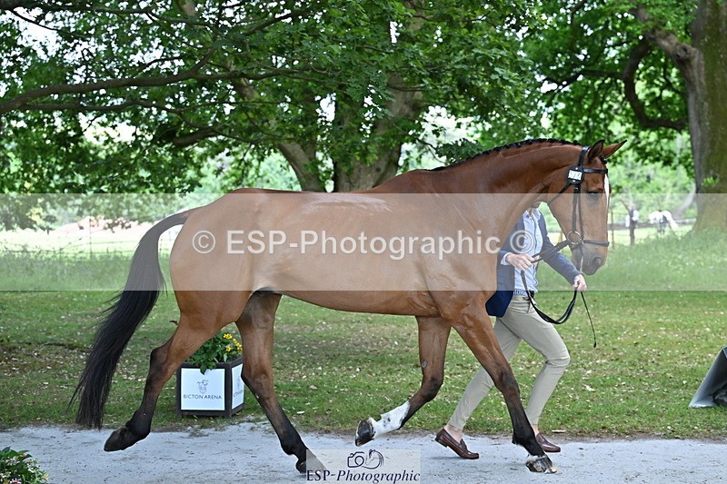 250521A-155213-00810 - B-375-Lucas.Poole-GERDEAKER