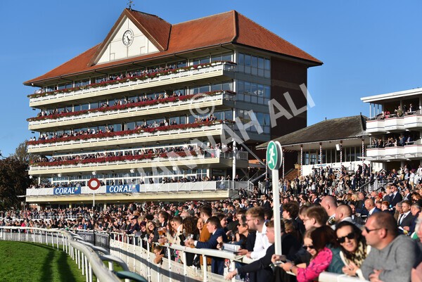 yr08102022r6-25 - Race 6 4.25pm The Watch Racing Online Free With Coral Handicap Stakes