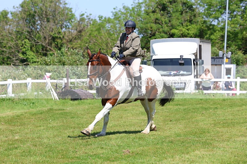 3E7A7268 - Class 30: Novice Working Hunter