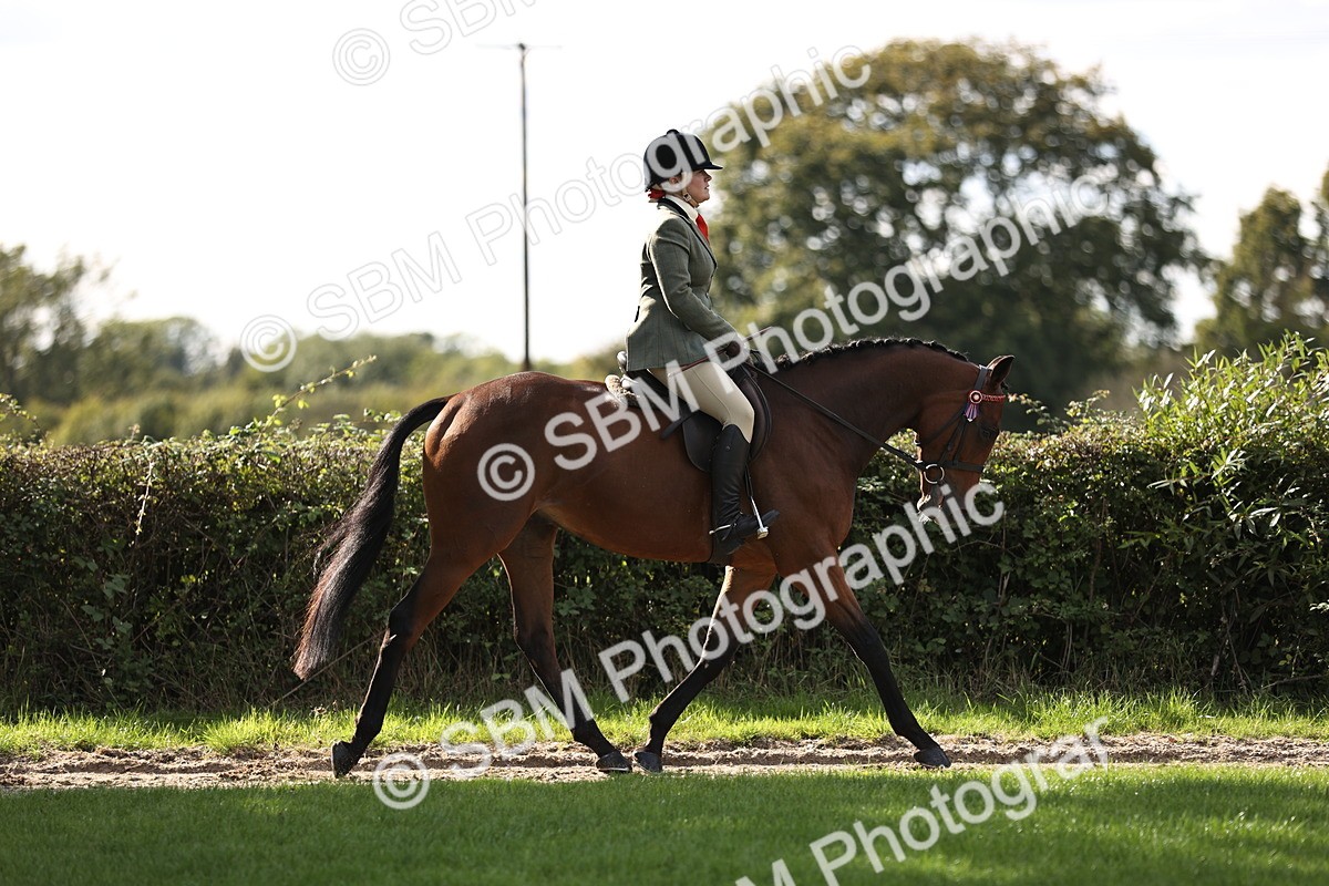 SBM_26342 - S6 - Novice & Newcomers Ridden Horse