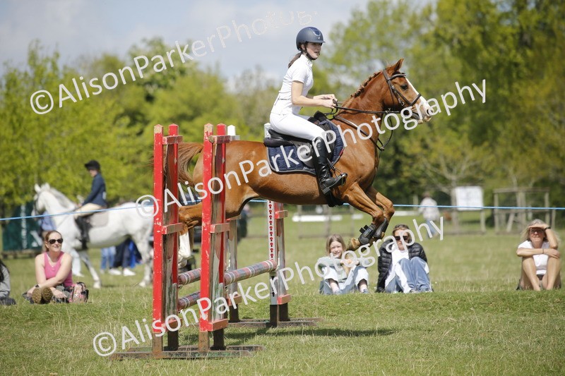 20250427-3590 - Class 14 - Absolute Novice 70cm