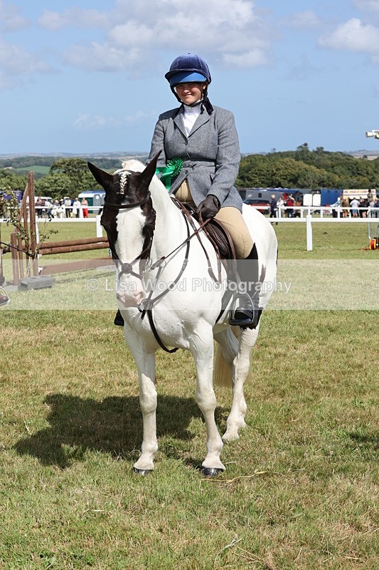 JPP_2460 - Class 19: Working Hunter 60cm