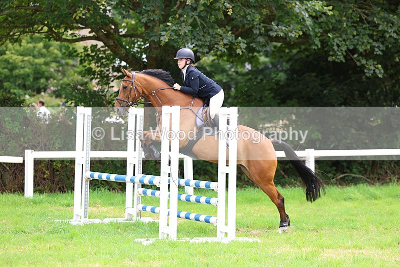 3E7A7103 - Class 5: Senior British Novice/90cm open