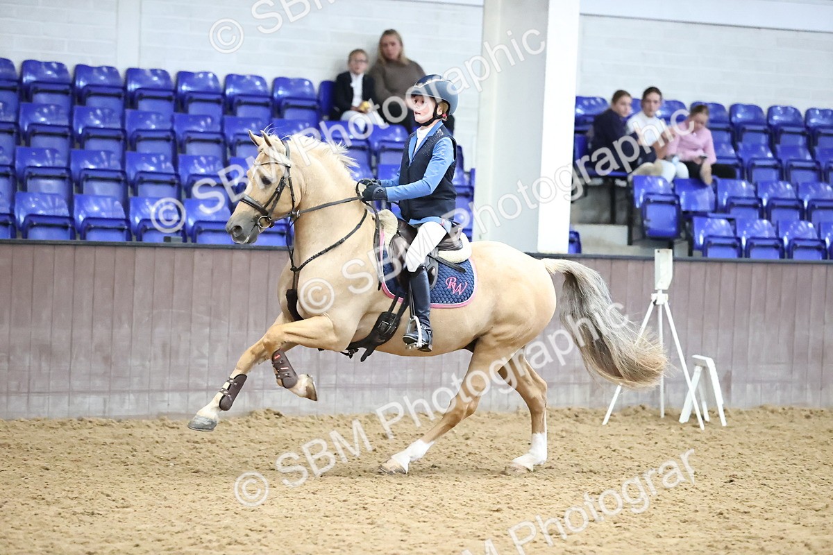 SBM_000770 - Class 2 - STX UK Pony British Novice 80cm Open