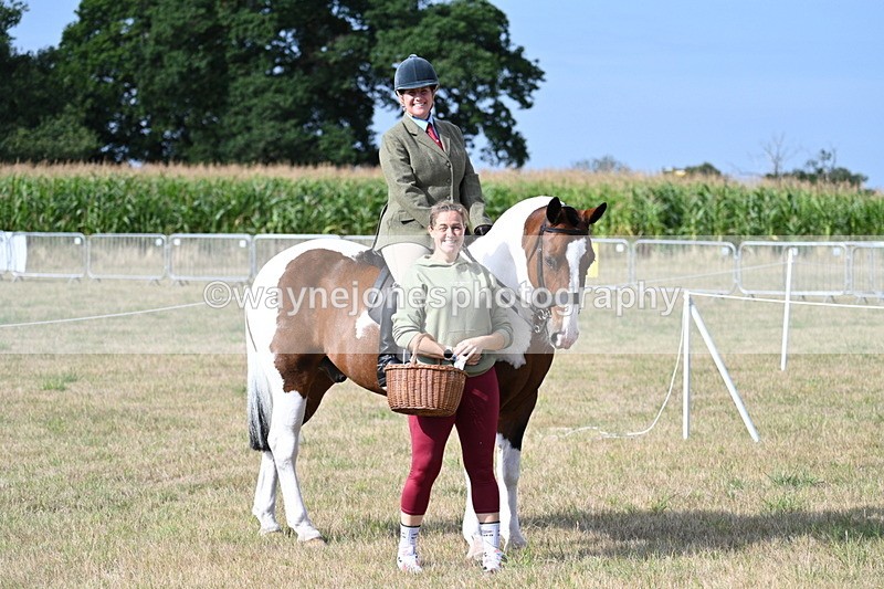 WJ7_2640 - Class 8 Ridden Tack & Turnout