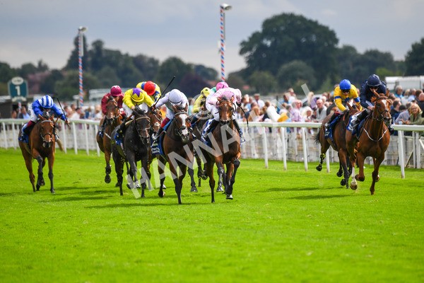 240823-Race 4-Warm Heart-0504 - Race 4 3.35pm Pertemps Network Yorkshire Oaks