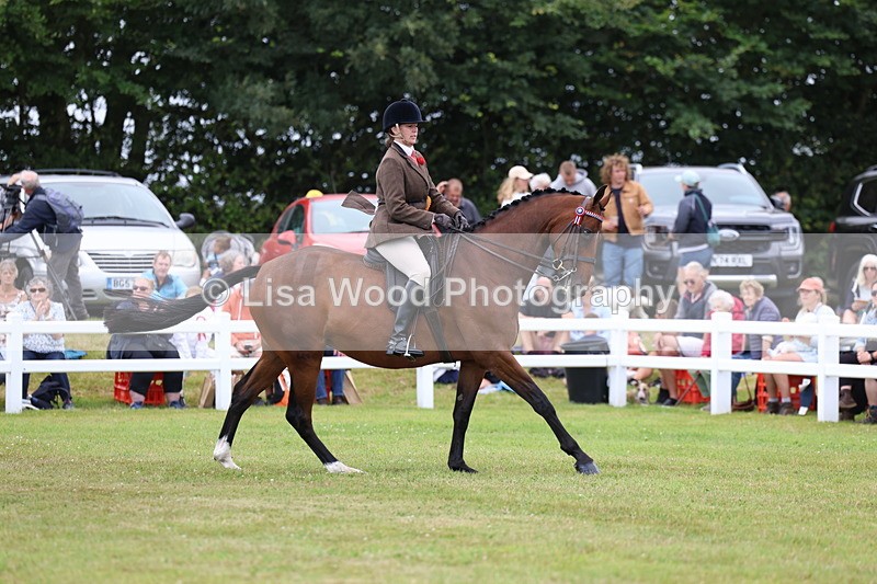 3E7A1298 - Class 8: Open Riding Horse/Hack