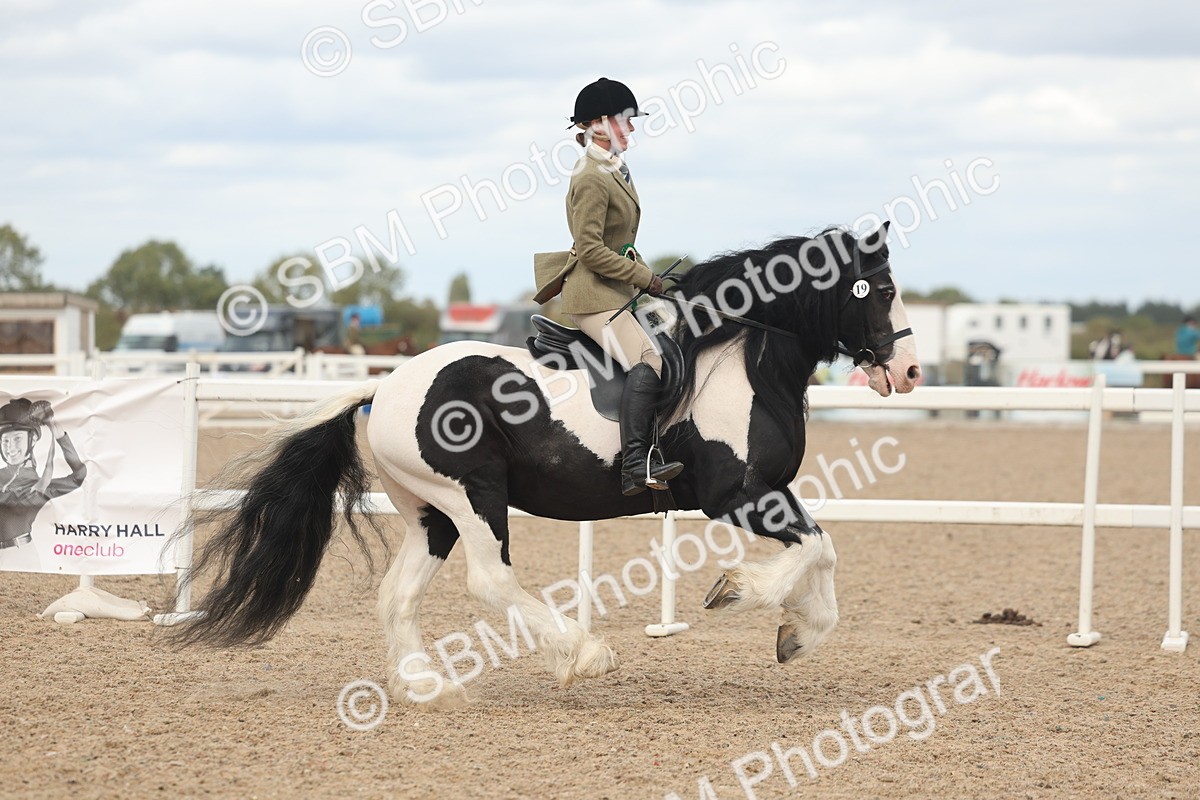 SBM_18099 - Class 314 - Family Horse Pony
