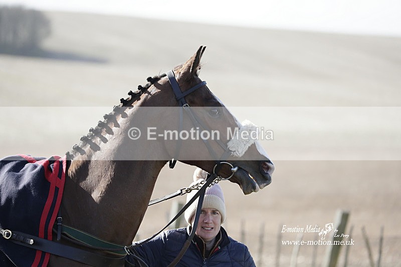 PtP 100423 1192 - Old Berkshire Point-to-Point Lockinge 10/04/23
