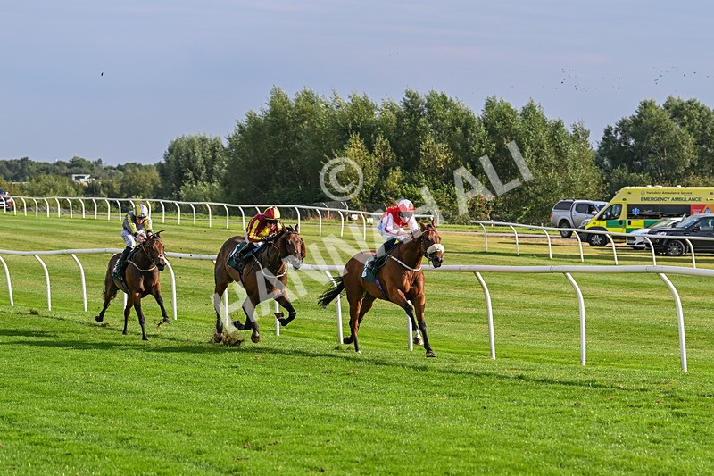 280824-Race 6-Night On Earth-4926 - Race 6