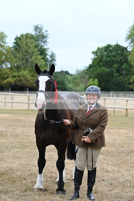 WJ7_0229 - Gelding Champs