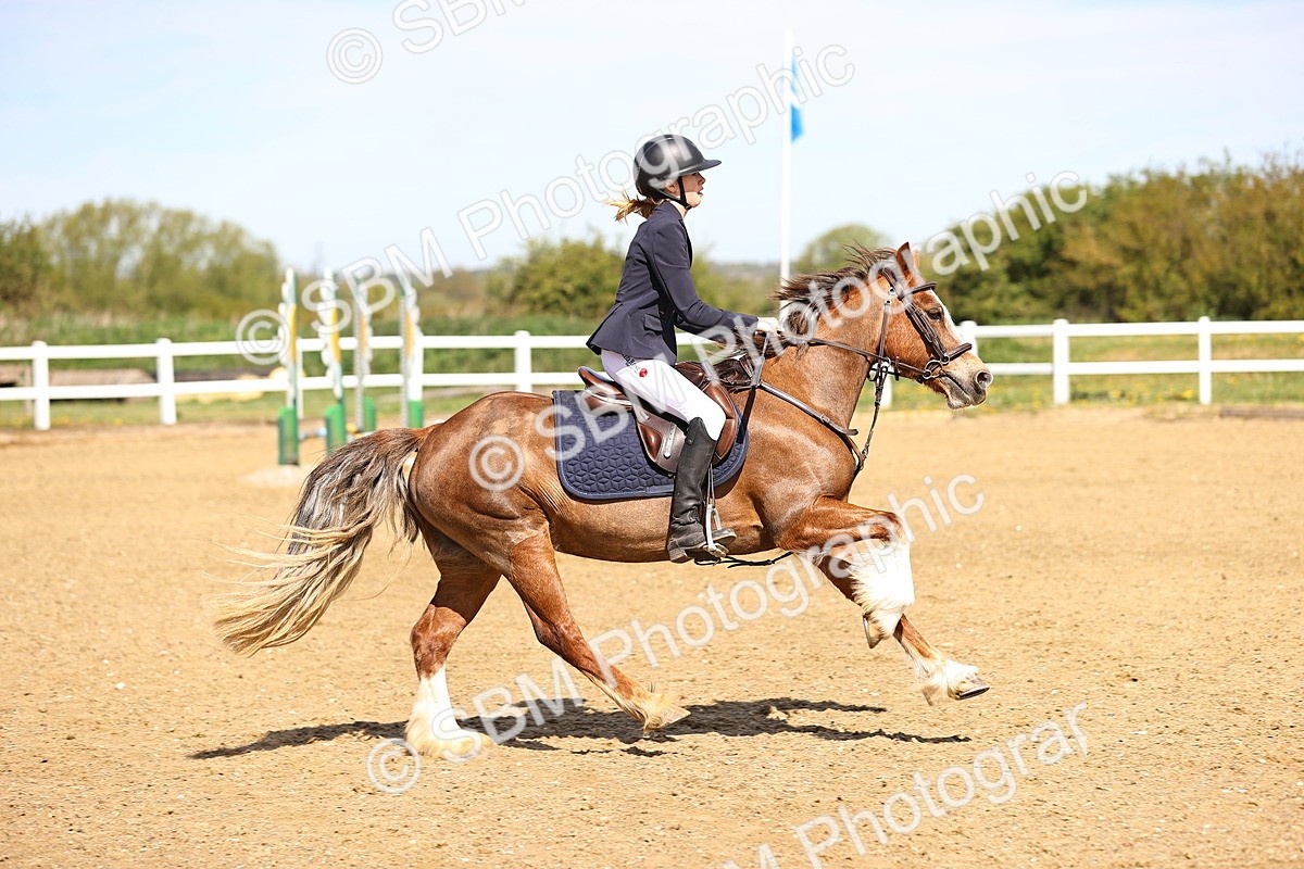 SBM_000918 - 60cm