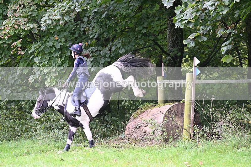 WJ7_8236 - Time 14:11 to 14:30