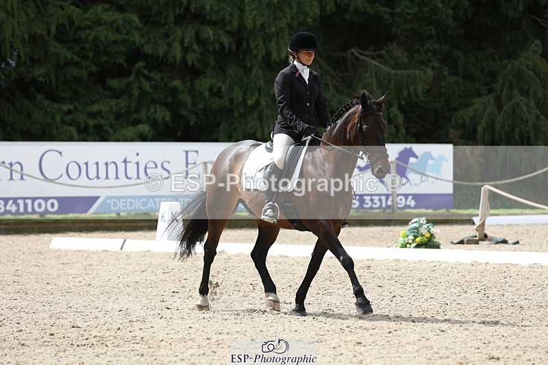 230812-121947-03979 - Cls 5 Novice Bronze 11.15 to 12.50 break