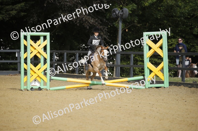 20250622-1237 - 40cm