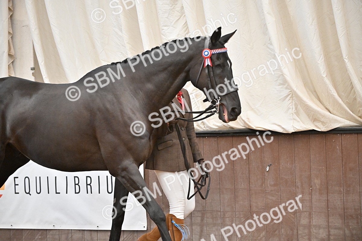 SBM_000202 - Class 7 - ROR Tattersalls In Hand