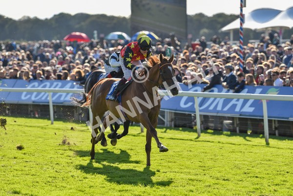 141023-Race 3-Montassib-0991 - Race 3 2.25pm Coral Sprint Trophy Handicap