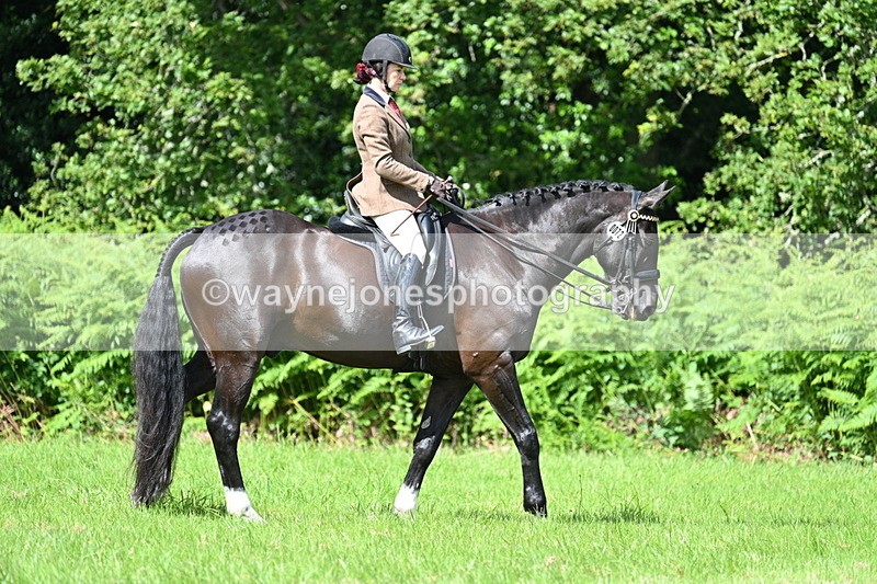 WJ7_1040 - Class 11 Condition & Turnout