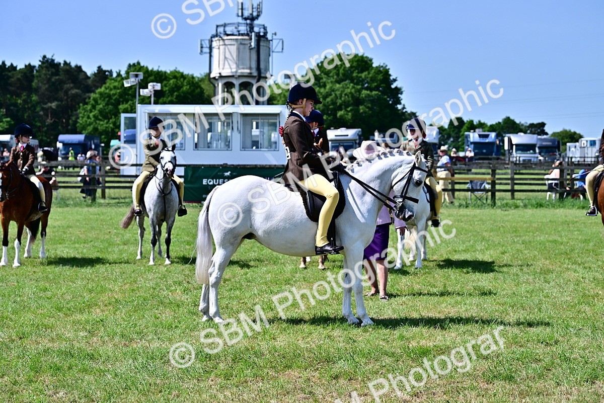 SBM_13897 - Class 95-97 - BSPS LHS Performance Ponies