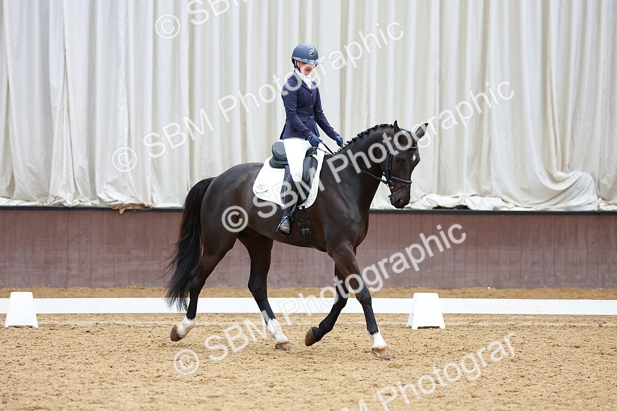 SBM_003497 - Class 11 - Novice 2
