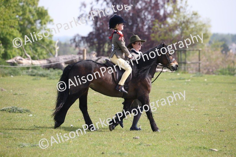 20260426-0585 - Class 31 - Leading Rein