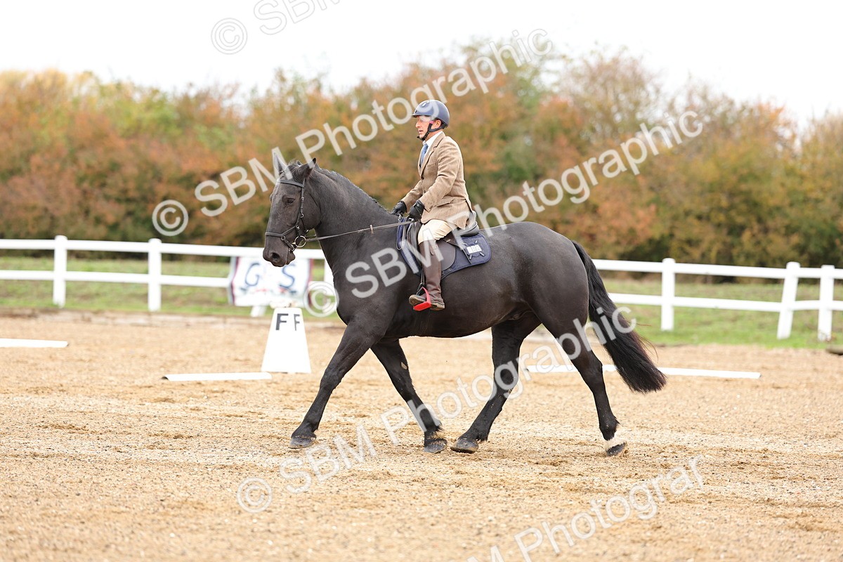 SBM_000119 - Intro 2