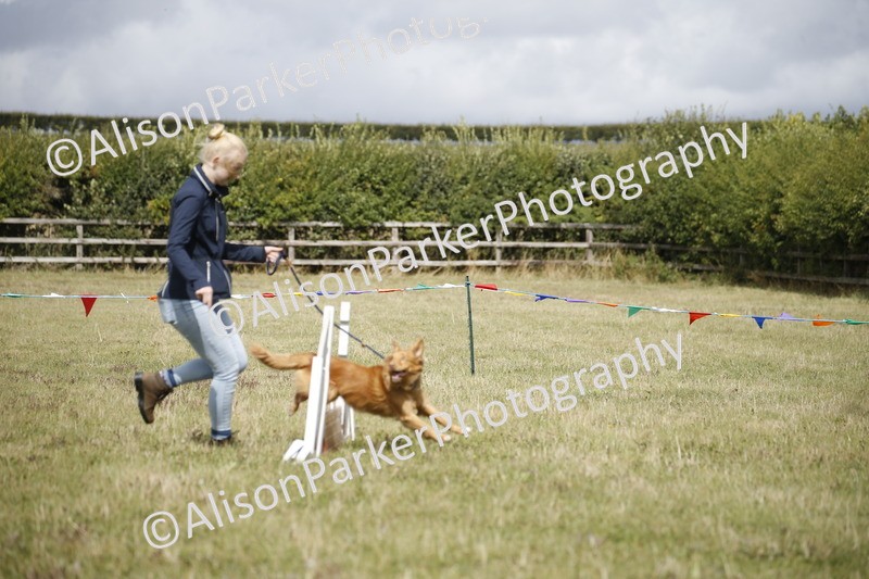 20250831-3889 - Dog Show