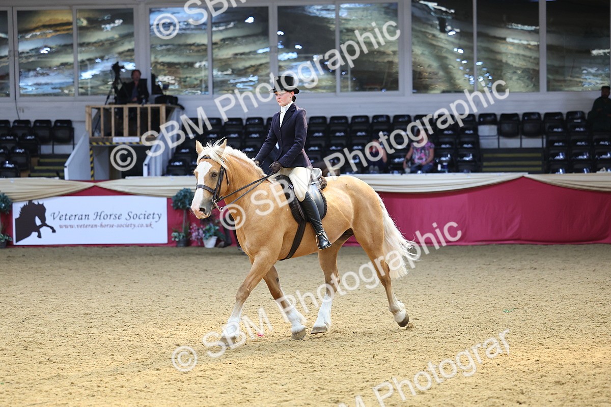 SBM_24366 - Class 906 - Supreme Final - Ridden Pre Vet