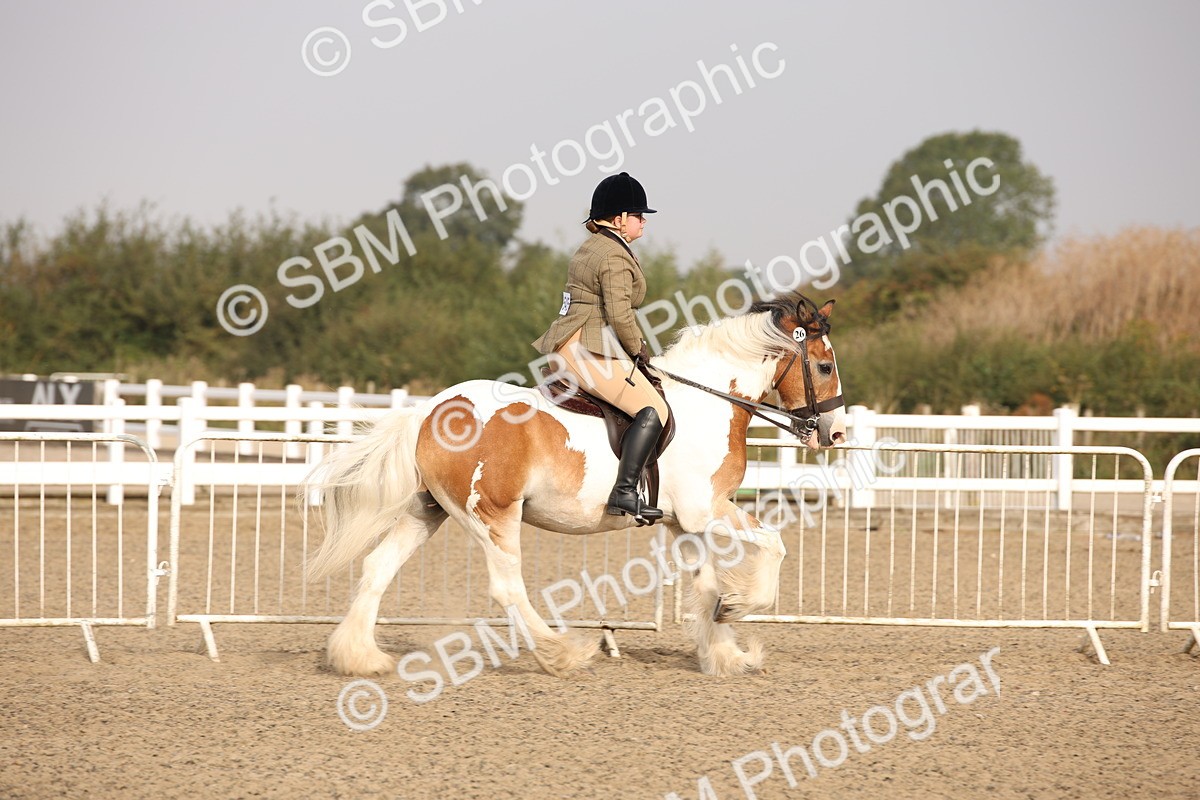 SBM_10264 - Class 402 Riding Club Horse