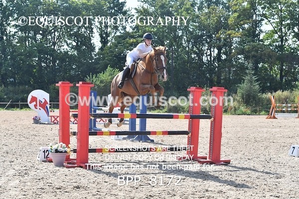 BPP_8172 - CLASS 6 Senior Newcomers/ 1.10m Open