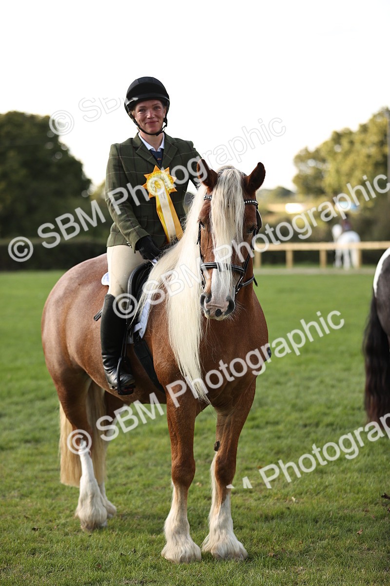SBM_26484 - S6 - Novice & Newcomers Ridden Horse