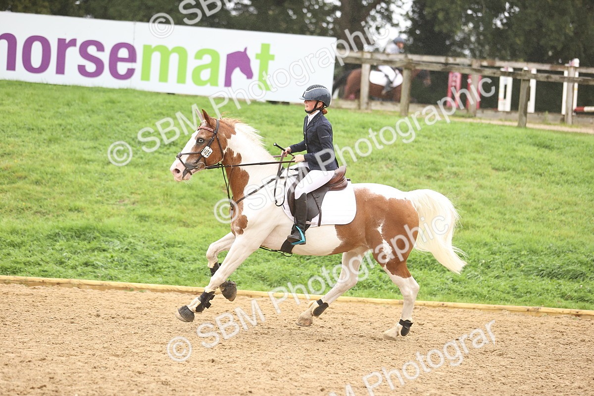 SBM_73480 - J19 - Junior Horse & Pony 90cm Supreme championship