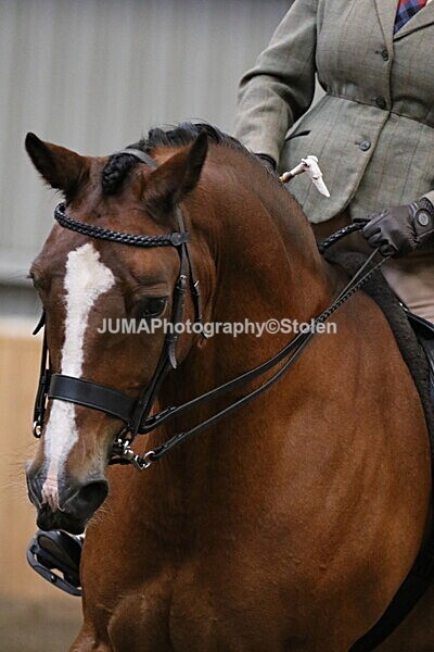 SIAL3060 - Sunday 14th Ridden