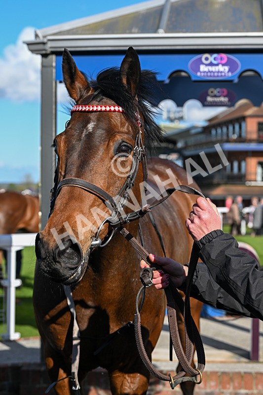 250424-Race 6-Wheres Jeff-1858 - Race 6