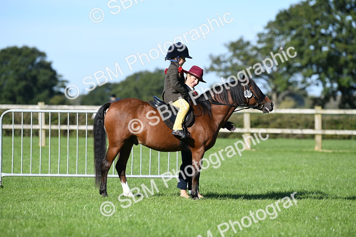SBM_36712 - S18 - Novice & Newcomers Lead Rein Pony