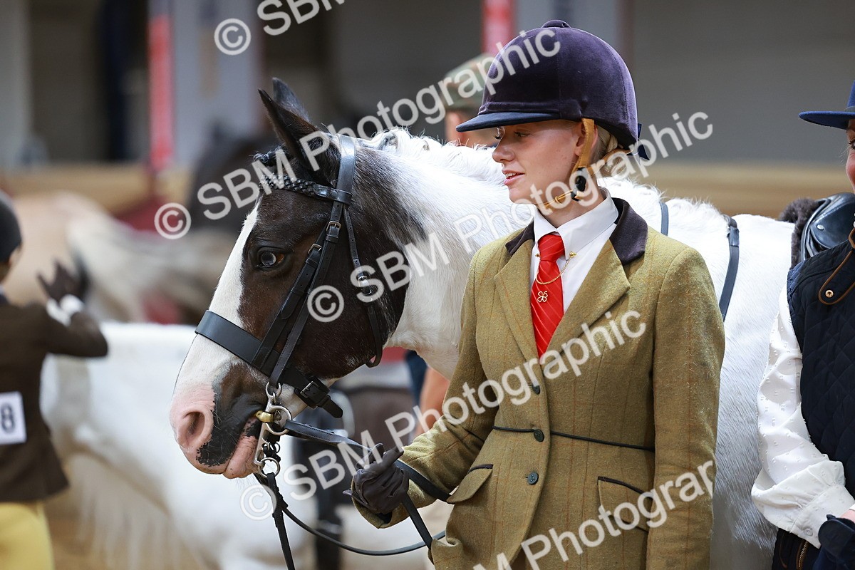 SBM_09537 - Class 102 - HOYS Veteran Qualifier - Ridden Veteran