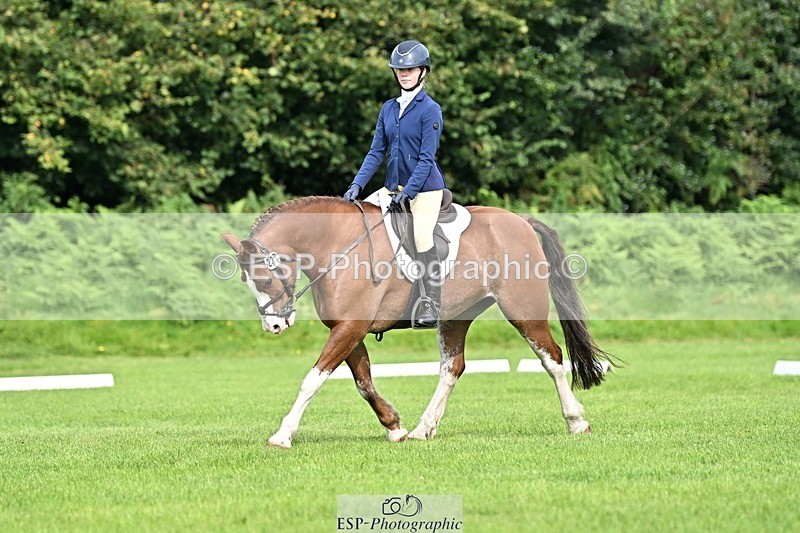 230826-100401-16348 - Sections A & B 10 to End