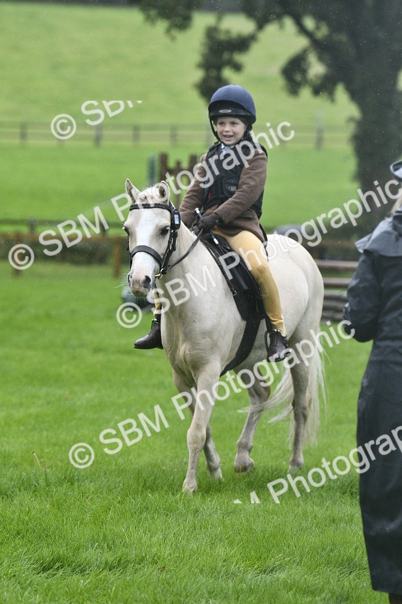SBM_37147 - S31 - Novice & Newcomer Working Hunter Pony