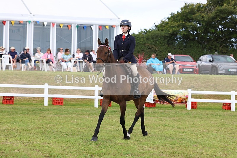 3E7A2389 - Class 11: Retraining of Racehorse