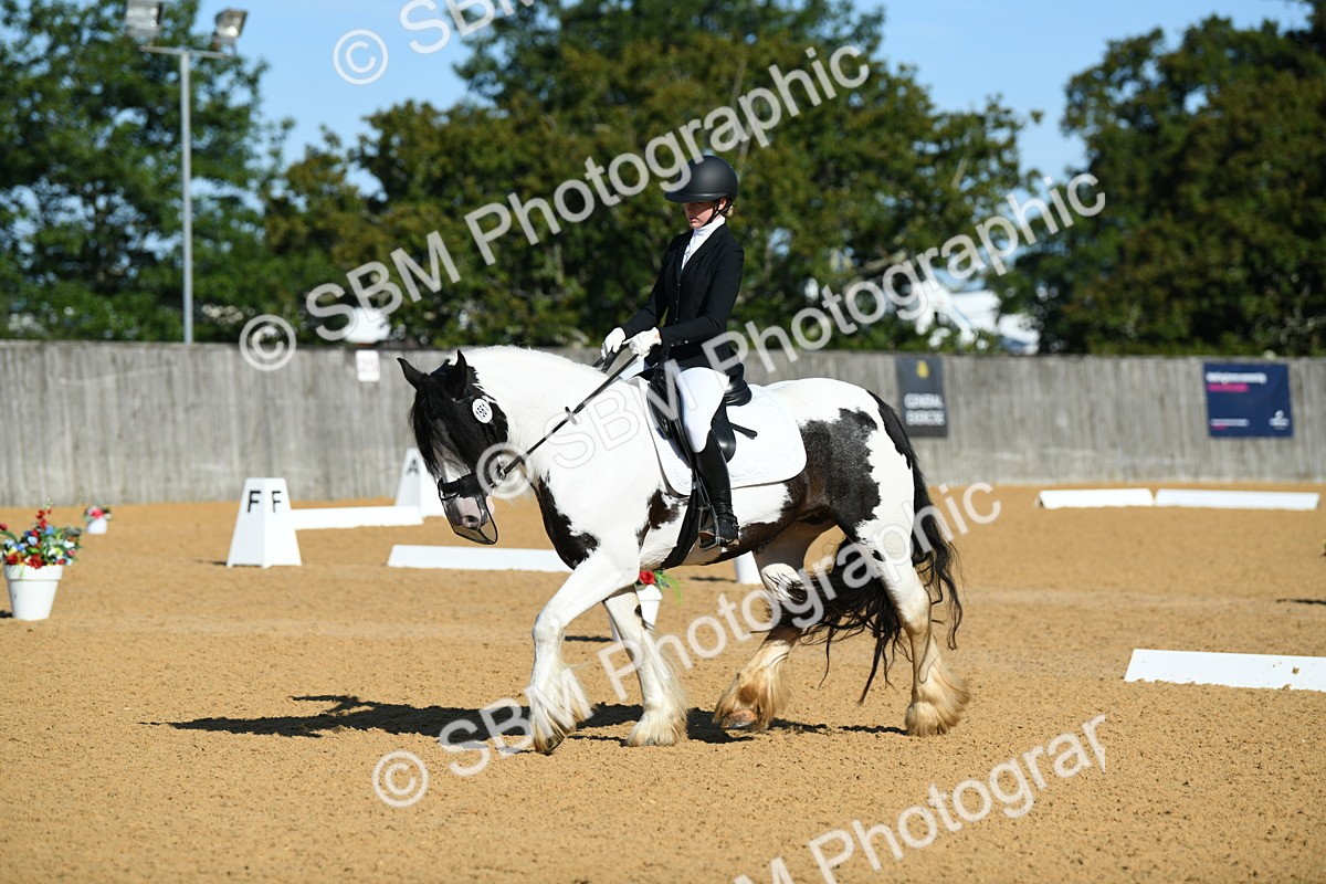 SBM_16278 - D4 - Small Tour Championship - Intro B
