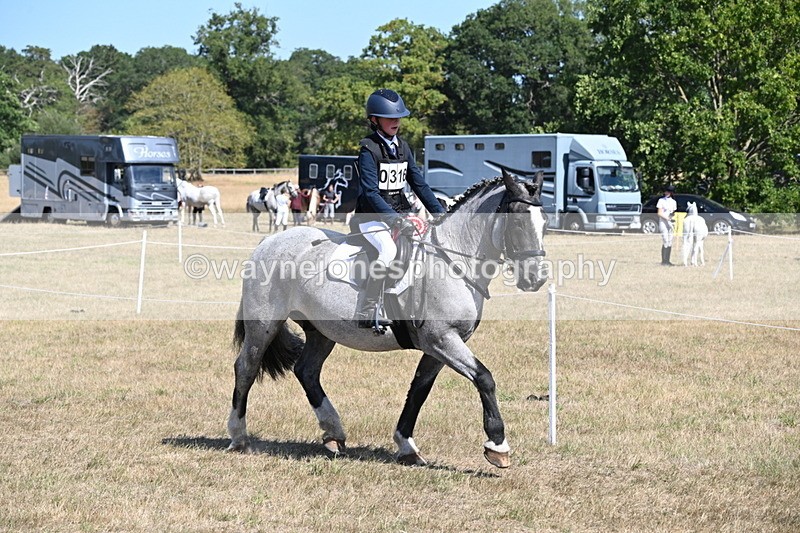 WJ6_9190 - Championship Classes 33-38