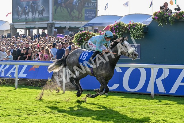 111025-Race 4-Binhareer-0473 - Race 4 Coral Sprint Trophy Handicap at York