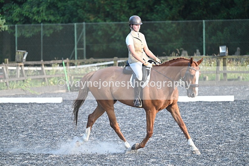 WJ7_0301 - Time 19:38 to 20:00