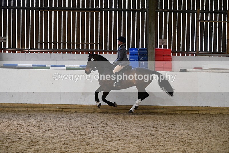 WJ5_7780 - Class 13 Ridden Part Breed