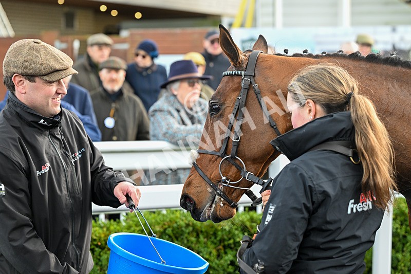 240226-Race 2-Secret Vino-6551 - Race 2