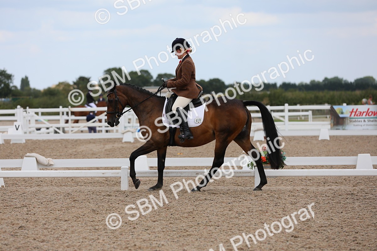 SBM_05556 - Class 32 Novice 1