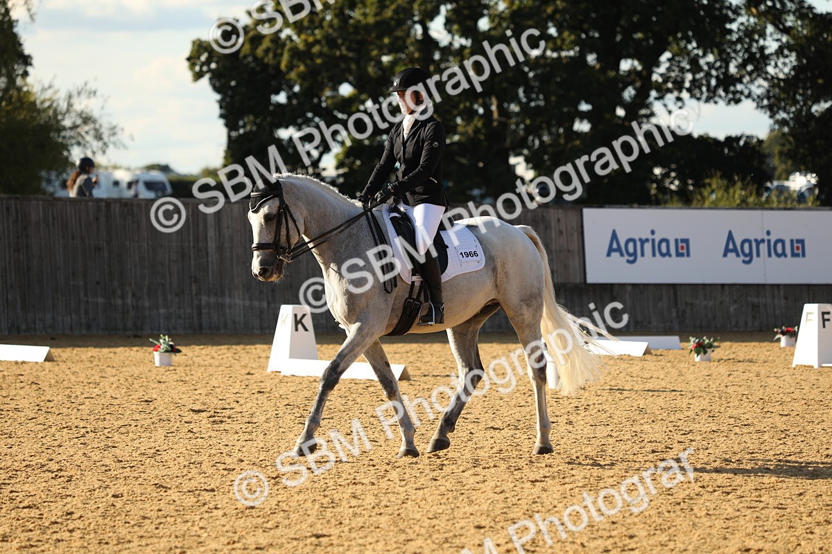 SBM_28604 - D20 - Grand Tour Championship - Elementary 44