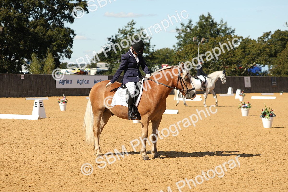SBM_22413 - D17 - Grand Tour Championship - Novice 27