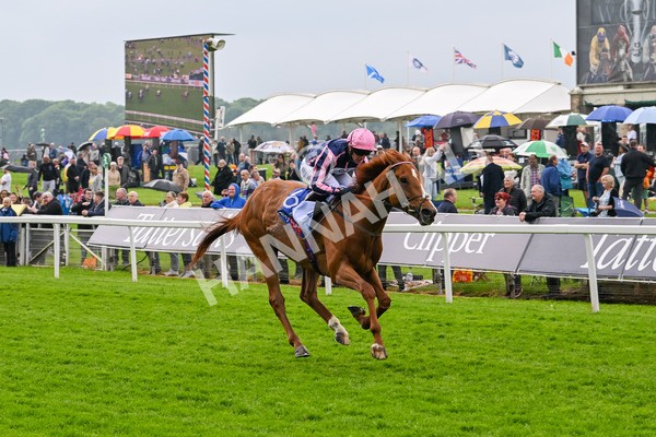 150524-Race 1-Crystal Delight-3589 - Race 1 2.15pm Sky Bet Race To The Ebor Jorvik Handicap
